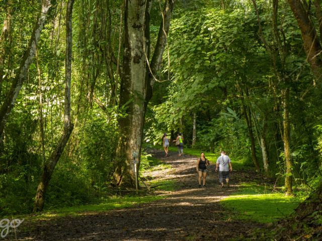 Una ciudad que respira naturalmente