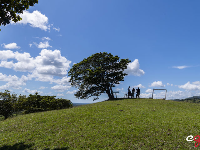 Un lugar para convivir con la naturaleza